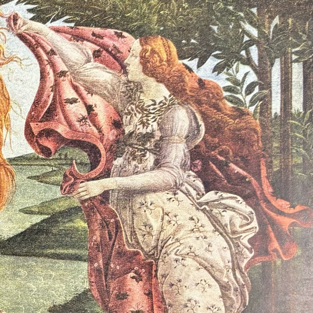 SANDRO BOTTICELLI Italy, The Birth of Venus Original Vintage Fine Art Print 30’s - Picture 4 of 7